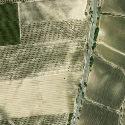 Satellite imagery of survey_point, DZ