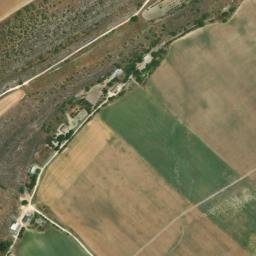 Satellite imagery of survey_point, DZ
