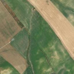 Satellite imagery of survey_point, DZ