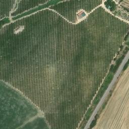 Satellite imagery of survey_point, DZ
