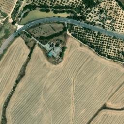 Satellite imagery of survey_point, DZ