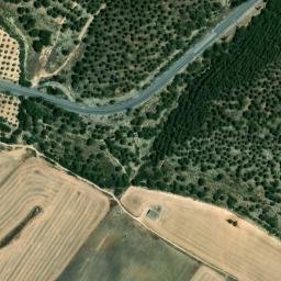 Satellite imagery of survey_point, DZ