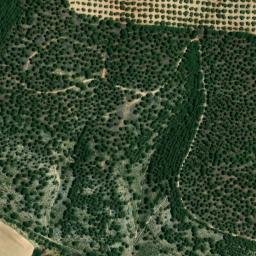 Satellite imagery of survey_point, DZ