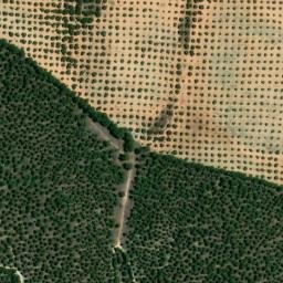 Satellite imagery of survey_point, DZ