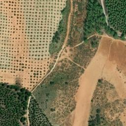 Satellite imagery of survey_point, DZ