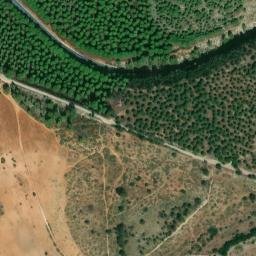 Satellite imagery of survey_point, DZ