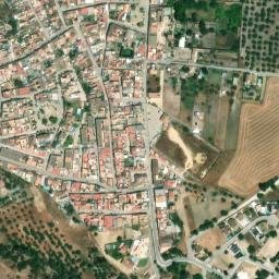 Satellite imagery of survey_point, DZ