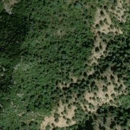 Satellite imagery of survey_point, DZ