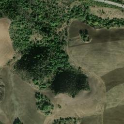 Satellite imagery of survey_point, DZ