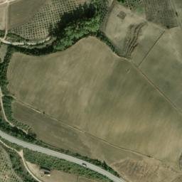 Satellite imagery of survey_point, DZ