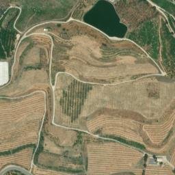 Satellite imagery of survey_point, DZ