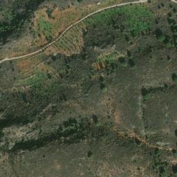 Satellite imagery of survey_point, DZ