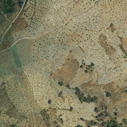 Satellite imagery of survey_point, DZ
