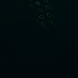 Satellite imagery of survey_point, DZ