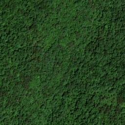 Satellite imagery of Betts Cliff, US