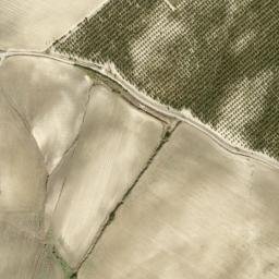Satellite imagery of survey_point, DZ