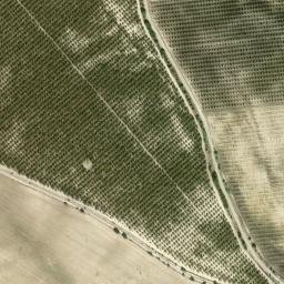 Satellite imagery of survey_point, DZ