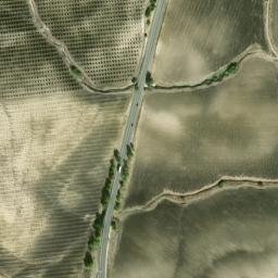 Satellite imagery of survey_point, DZ