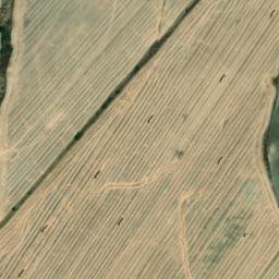 Satellite imagery of survey_point, DZ