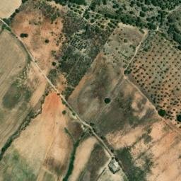 Satellite imagery of survey_point, DZ