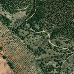 Satellite imagery of survey_point, DZ