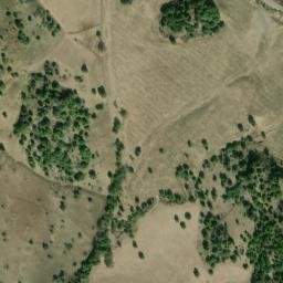 Satellite imagery of survey_point, DZ
