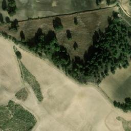 Satellite imagery of survey_point, DZ
