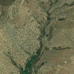 Satellite imagery of survey_point, DZ