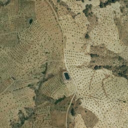 Satellite imagery of survey_point, DZ