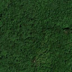 Satellite imagery of Cotton Patch Ridge, US