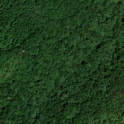 Satellite imagery of Cotton Patch Ridge, US