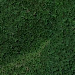 Satellite imagery of Cotton Patch Ridge, US