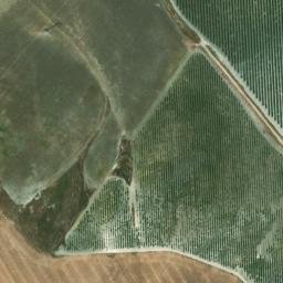 Satellite imagery of survey_point, DZ