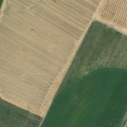 Satellite imagery of survey_point, DZ