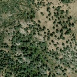 Satellite imagery of survey_point, DZ