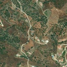 Satellite imagery of survey_point, DZ