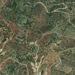 Satellite imagery of survey_point, DZ