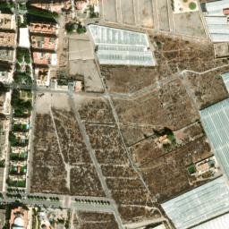 Satellite imagery of survey_point, DZ