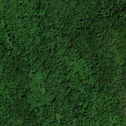 Satellite imagery of Yellow Cliff, US