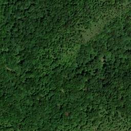 Satellite imagery of Cotton Patch Ridge, US