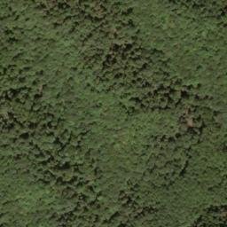 Satellite imagery of Grassy Knoll Overlook, US