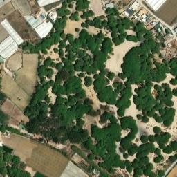 Satellite imagery of survey_point, DZ