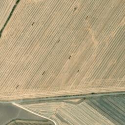 Satellite imagery of survey_point, DZ