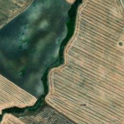 Satellite imagery of survey_point, DZ