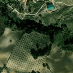 Satellite imagery of survey_point, DZ
