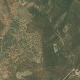 Satellite imagery of survey_point, DZ
