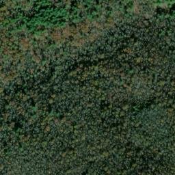 Satellite imagery of Hickory Ridge, US