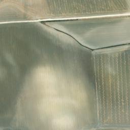 Satellite imagery of survey_point, DZ