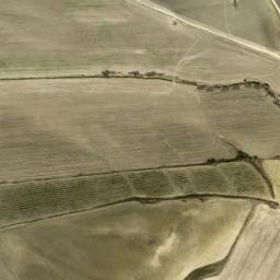 Satellite imagery of survey_point, DZ