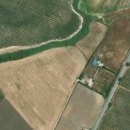 Satellite imagery of survey_point, DZ
